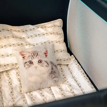 Bismarck Mit Schönem Balkon Bad Ems